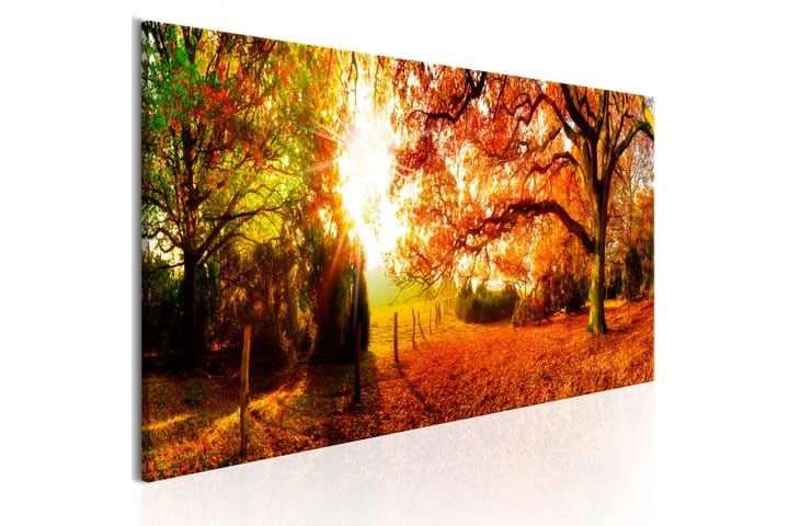Tavla Magic Of Autumn 150x50 - Artgeist sp. z o. o. - Inredning - Tavlor & posters - Canvastavla