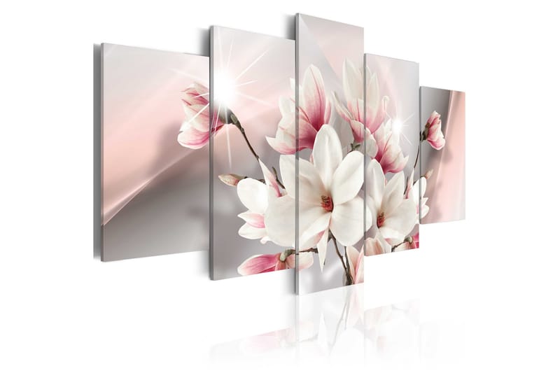 Tavla Magnolia In Bloom 100X50 Rosa|Vit - Blommor - Inredning - Tavlor & posters - Canvastavla