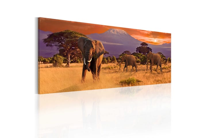Tavla March Of African Elephants 120x40 - Artgeist sp. z o. o. - Inredning - Tavlor & posters - Canvastavla