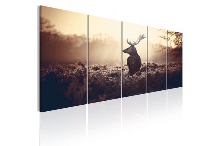 Tavla Stag In The Wilderness 200X80 Brun - Djur - Inredning - Tavlor & posters - Canvastavla