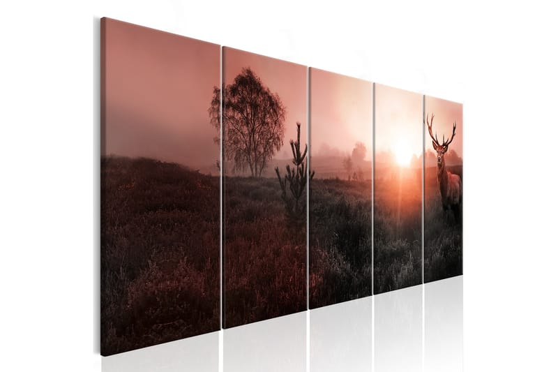 Tavla Sun On The Horizon 225x90 - Artgeist sp. z o. o. - Inredning - Tavlor & posters - Canvastavla