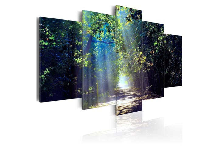 Tavla Sunny Forest Path 200X100 Blå|Grön - Landskap - Textil & mattor - Matta - Modern matta - Ryamatta
