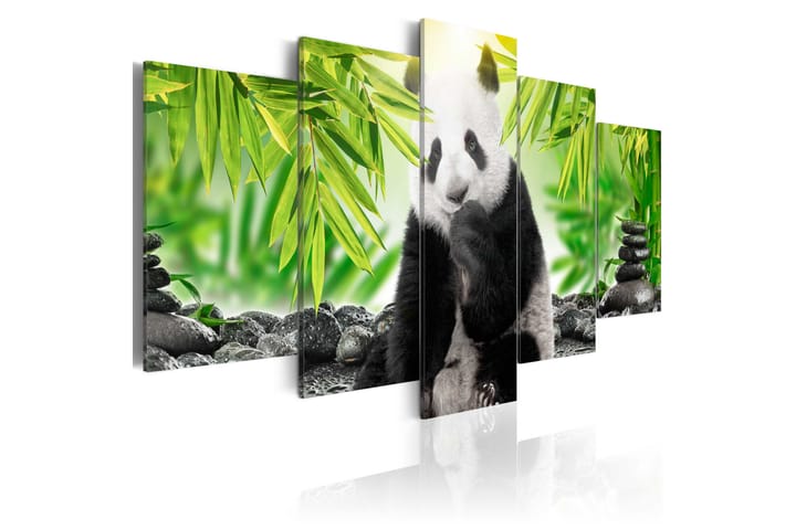 Tavla Sweet Little Panda 100x50 - Artgeist sp. z o. o. - Inredning - Tavlor & posters - Canvastavla
