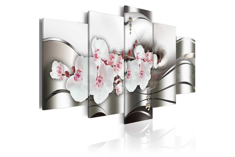Tavla The Beauty Of Orchids 200x100 - Artgeist sp. z o. o. - Inredning - Tavlor & posters - Canvastavla