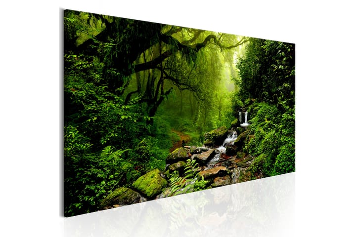 Tavla The Fairytale Forest 150x50 - Artgeist sp. z o. o. - Inredning - Tavlor & posters - Canvastavla