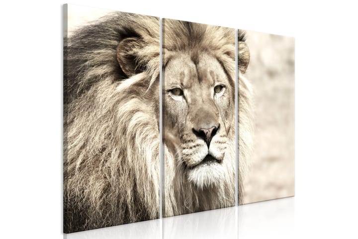 Tavla The King Of Beasts 3 Parts Beige 120x80 - Artgeist sp. z o. o. - Inredning - Tavlor & posters - Canvastavla