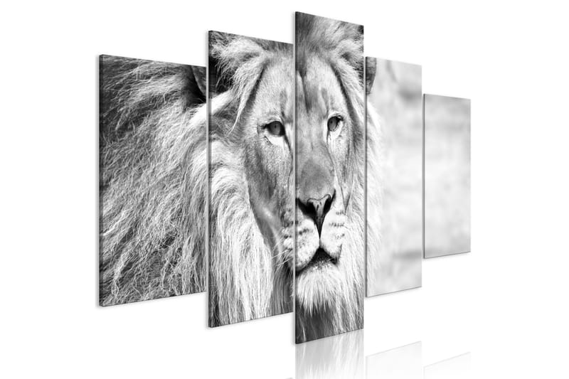 Tavla The King Of Beasts 5 Parts Wide B&W 200x100 - Artgeist sp. z o. o. - Inredning - Tavlor & posters - Canvastavla