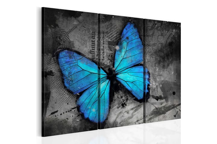 Tavla The Study Of Butterfly Triptych 60x40 - Artgeist sp. z o. o. - Inredning - Tavlor & posters - Canvastavla