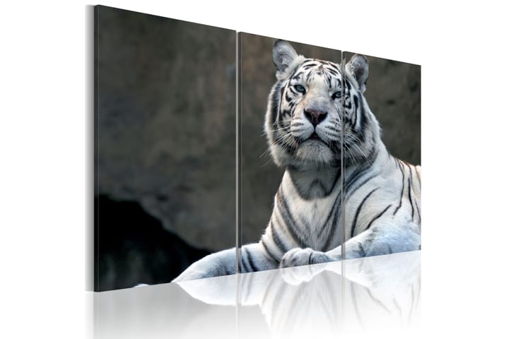 Tavla White Tiger 120x80 - Artgeist sp. z o. o. - Inredning - Tavlor & posters - Canvastavla