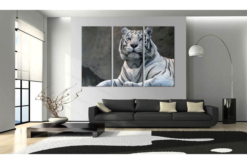 Tavla White Tiger 60x40 - Artgeist sp. z o. o. - Inredning - Tavlor & posters - Canvastavla