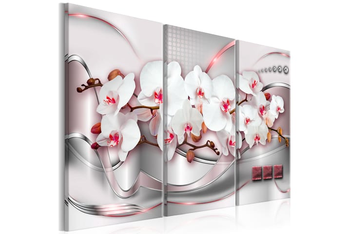 Tavla Wonderful Orchids 120x80 - Artgeist sp. z o. o. - Inredning - Tavlor & posters - Canvastavla