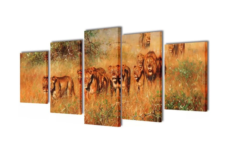 Uppsättning väggbonader på duk: lejon 100x50 cm - Flerfärgad - Inredning - Tavlor & posters - Canvastavla