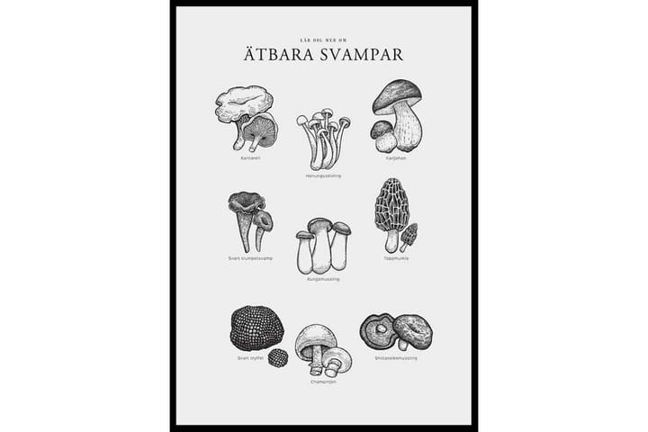 Ätbara Svampar Illustration Svartvit - 21x30 cm - Inredning - Tavlor & posters - Canvastavla