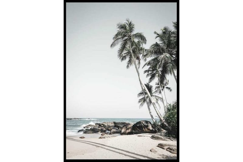 Anantara Palm Trees - Finns i flera storlekar - Inredning - Tavlor & posters - Posters & prints