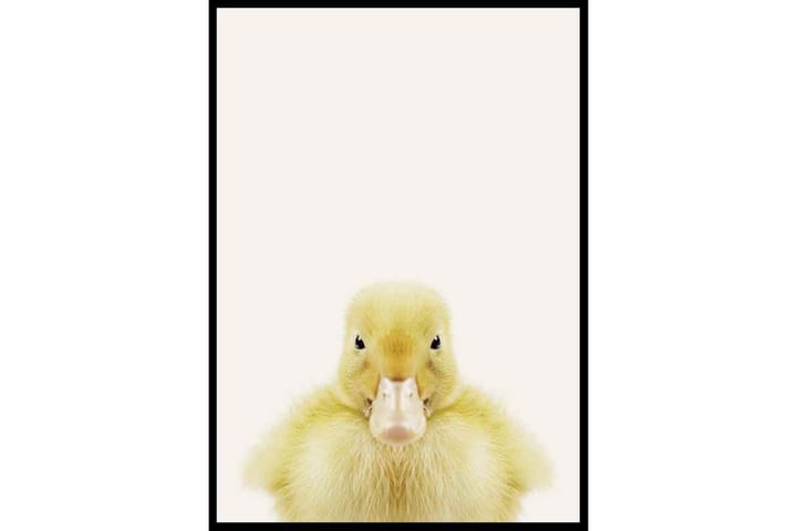 Baby Duck - Finns i flera storlekar - Inredning - Tavlor & posters - Posters & prints