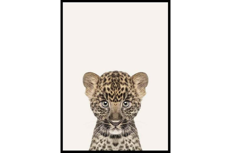 Baby Leopard Painting/Illustration Beige/Gul/Svart - 50x70 cm - Inredning - Tavlor & posters - Posters & prints
