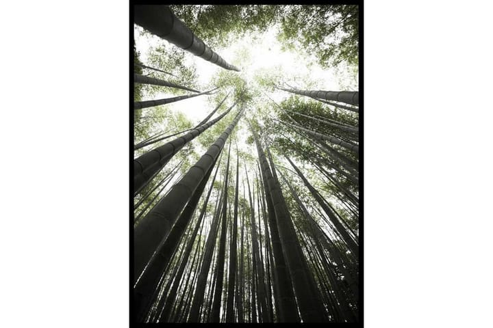 Bamboo Forest - Finns i flera storlekar - Inredning - Tavlor & posters - Posters & prints