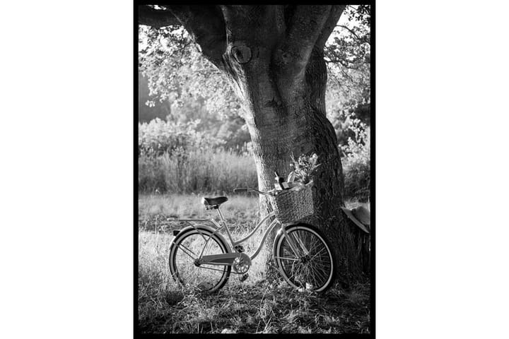 Bicycle With Picknick Basket - Finns i flera storlekar - Inredning - Tavlor & posters - Posters & prints