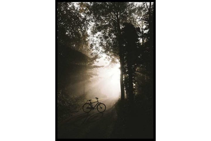Bike In Forest - Finns i flera storlekar - Inredning - Tavlor & posters - Posters & prints