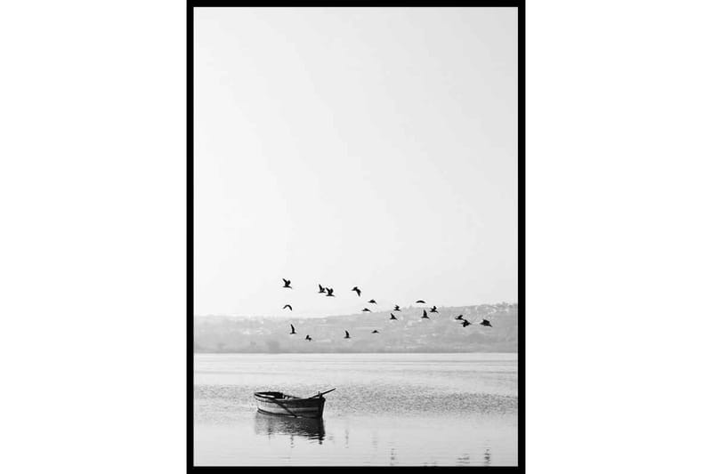 Birds Circling Boat Foto Svartvit/Grå - 50x70 cm - Inredning - Tavlor & posters - Posters & prints