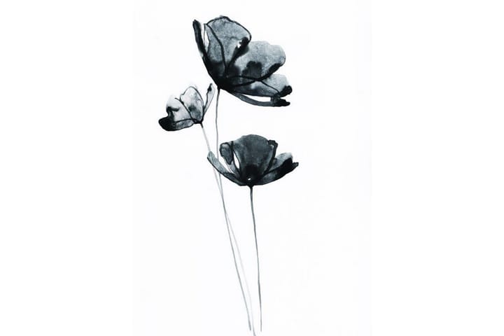 Black Flower Watercolour Painting Vit - 50x70 cm - Inredning - Tavlor & posters - Posters & prints