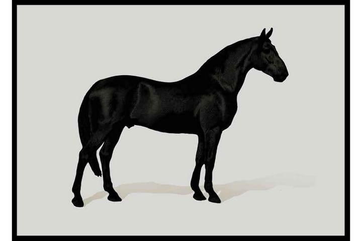 Black Horse Land. Drawing - Finns i flera storlekar - Inredning - Tavlor & posters - Posters & prints