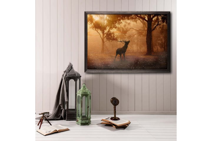 Deer At Dawn Foto Orange/Brun - 70x50 cm - Inredning - Tavlor & posters - Posters & prints