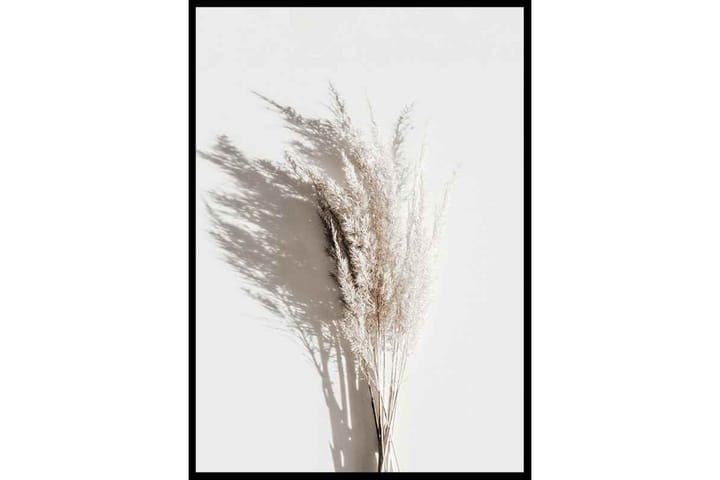 Dry Reeds No3 - Finns i flera storlekar - Inredning - Tavlor & posters - Posters & prints