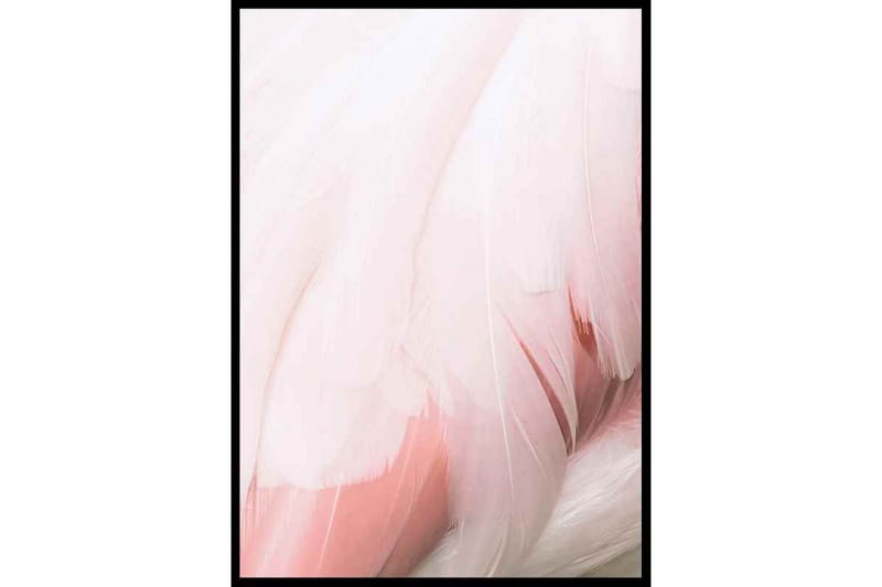 Flamingo Feathers - Finns i flera storlekar - Inredning - Tavlor & posters - Posters & prints