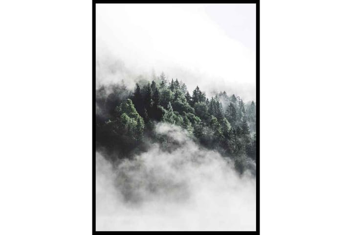 Forest In Mist - Finns i flera storlekar - Inredning - Tavlor & posters - Posters & prints