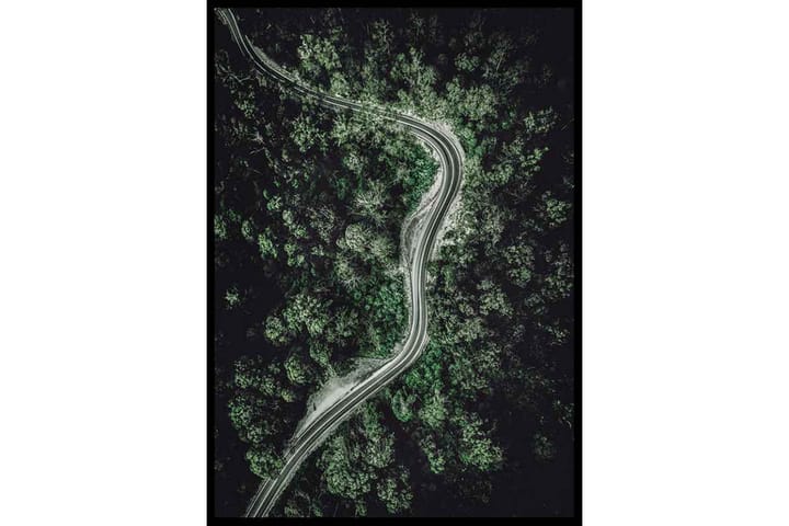 Forest Road - Finns i flera storlekar - Inredning - Tavlor & posters - Posters & prints