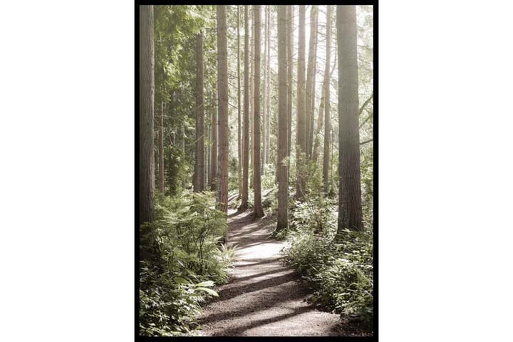 Green Forest - Finns i flera storlekar - Inredning - Tavlor & posters - Posters & prints