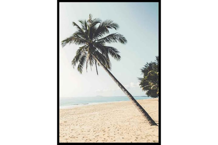 Leaning Palmtree On The Beach Foto Blå/Beige/Grön - 70x100 cm - Inredning - Tavlor & posters - Posters & prints