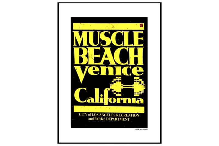 Muscle Beach, CA No1 David Thornell Text Gul/Svart
