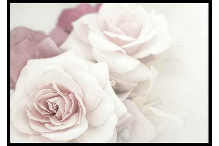 Perfect Pair Roses - Finns i flera storlekar - Inredning - Tavlor & posters - Posters & prints - Botaniska posters