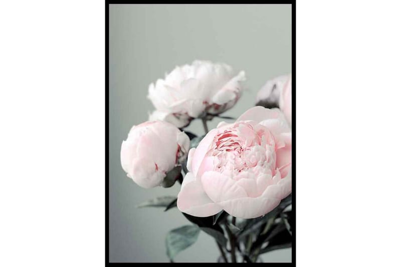 Pink Peony Bouquet No1 Foto Rosa/Grå/Grön - 30x40 cm - Inredning - Tavlor & posters - Posters & prints