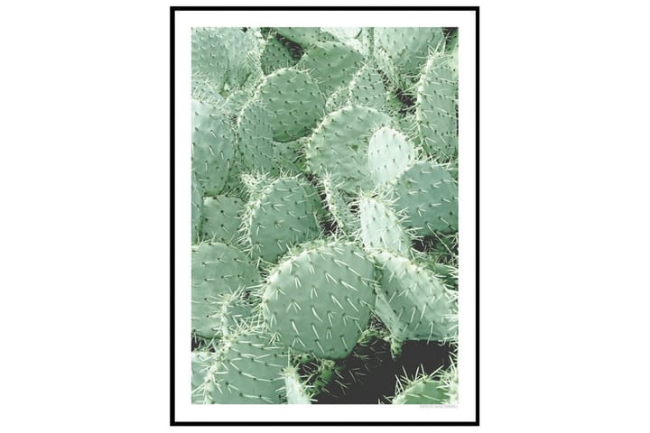 Poster Cactus Grön 40X30 - Finns i flera storlekar - Inredning - Tavlor & posters - Posters & prints