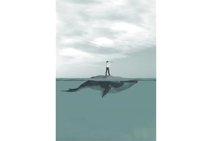 Poster Whale 50x70 cm - Multifärgad - Inredning - Tavlor & posters - Canvastavla