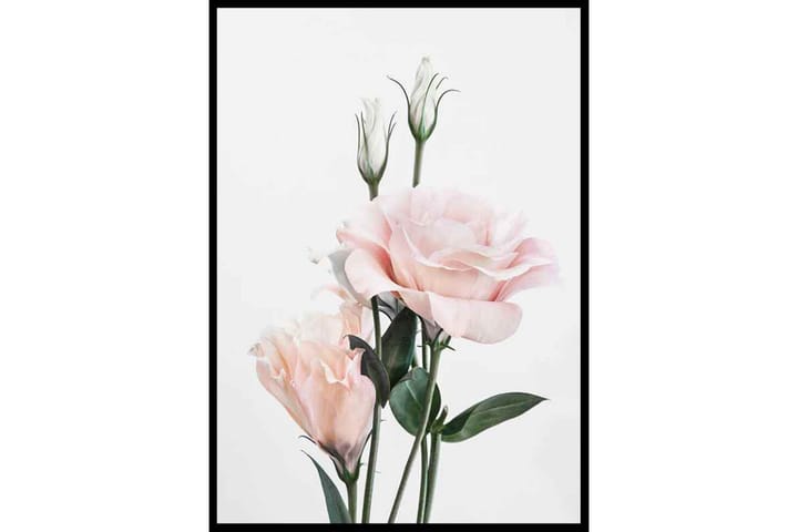 Rose Bouquet No1 - Finns i flera storlekar - Inredning - Tavlor & posters - Posters & prints - Botaniska posters