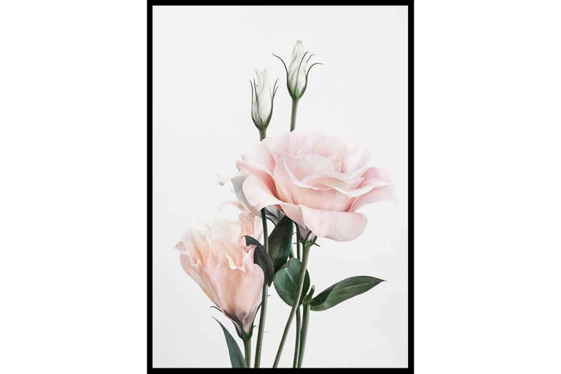 Rose Bouquet No1 - Finns i flera storlekar - Inredning - Tavlor & posters - Posters & prints