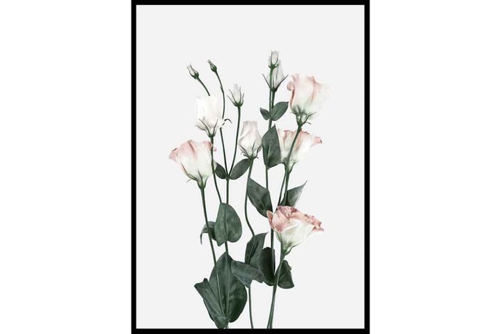 Rose Bouquet No2 - Finns i flera storlekar - Inredning - Tavlor & posters - Posters & prints - Botaniska posters