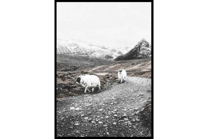 Winter Goats - Finns i flera storlekar - Inredning - Tavlor & posters - Posters & prints