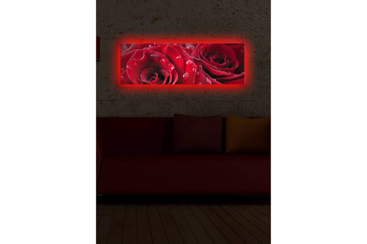 Canvasmålning Dekorativ LED-belysning - Flerfärgad - Inredning - Väggdekor - Canvastavlor