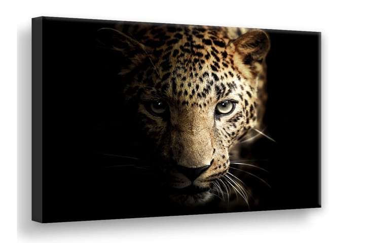 Leopard Digitalprintad Tavla Canvas 75X100Cm Svart - Svart - Inredning - Väggdekor - Canvastavlor