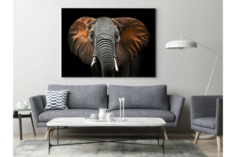 Tavla Canvas Silver Red Elephant - 75x100 cm - Inredning - Väggdekor - Canvastavlor