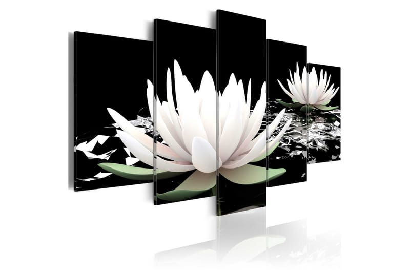 Tavla Delicate Beauty 100X50 Vit - Blommor - Inredning - Väggdekor - Canvastavlor