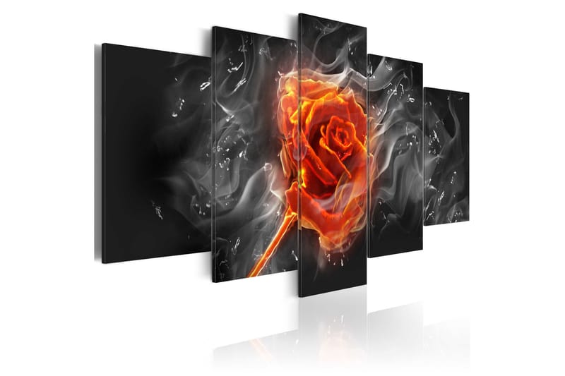 Tavla Fiery Rose 200X100 Vit - Abstrakt - Inredning - Väggdekor - Canvastavlor