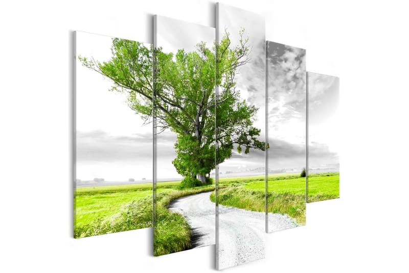 Tavla Lone Tree 5 Parts Green 225X100 Grön|Vit - Landskap - Inredning - Väggdekor - Canvastavlor