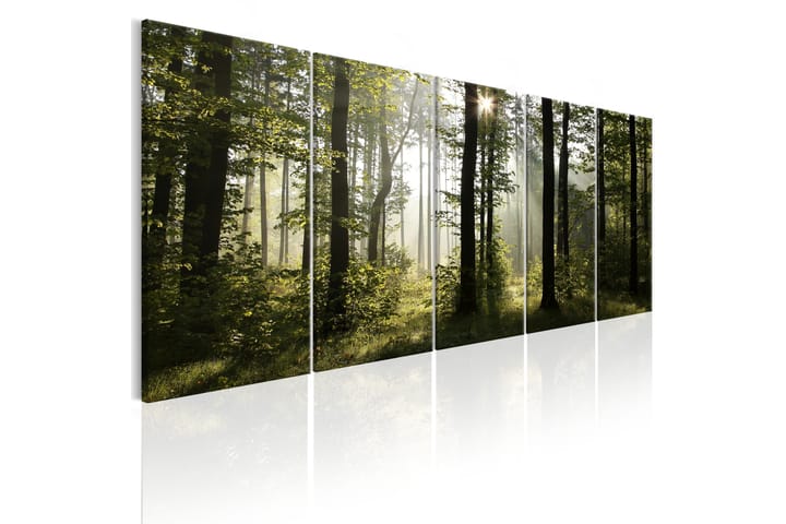 Tavla Summer Fog 200X80 Grön|Flerfärgad - Landskap - Inredning - Väggdekor - Canvastavlor