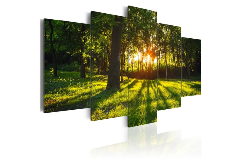 Tavla The Forest Reflection 200X100 Grön - Abstrakt - Inredning - Väggdekor - Canvastavlor